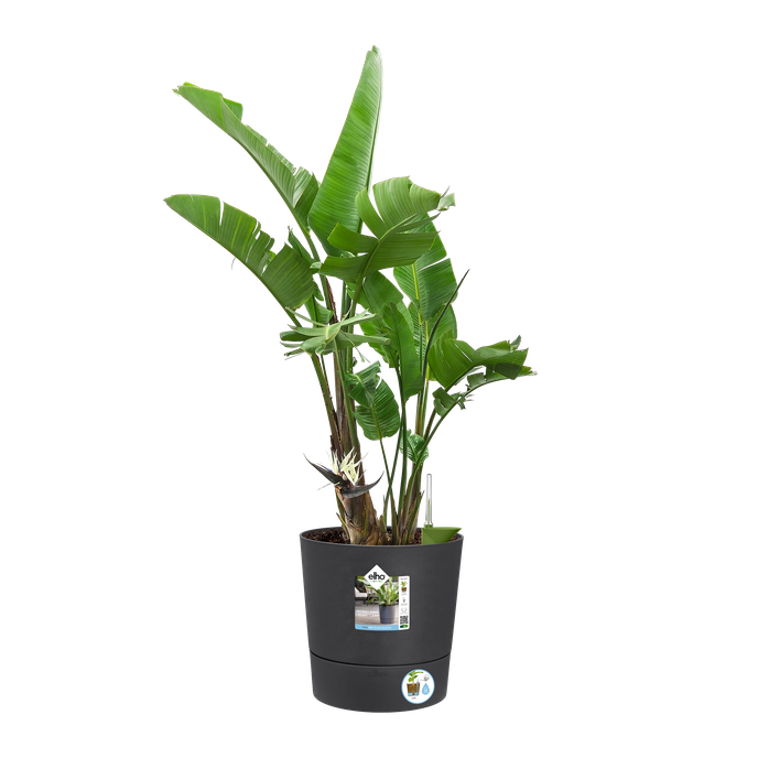 greensense aqua care rond 30cm houtskoolgrijs